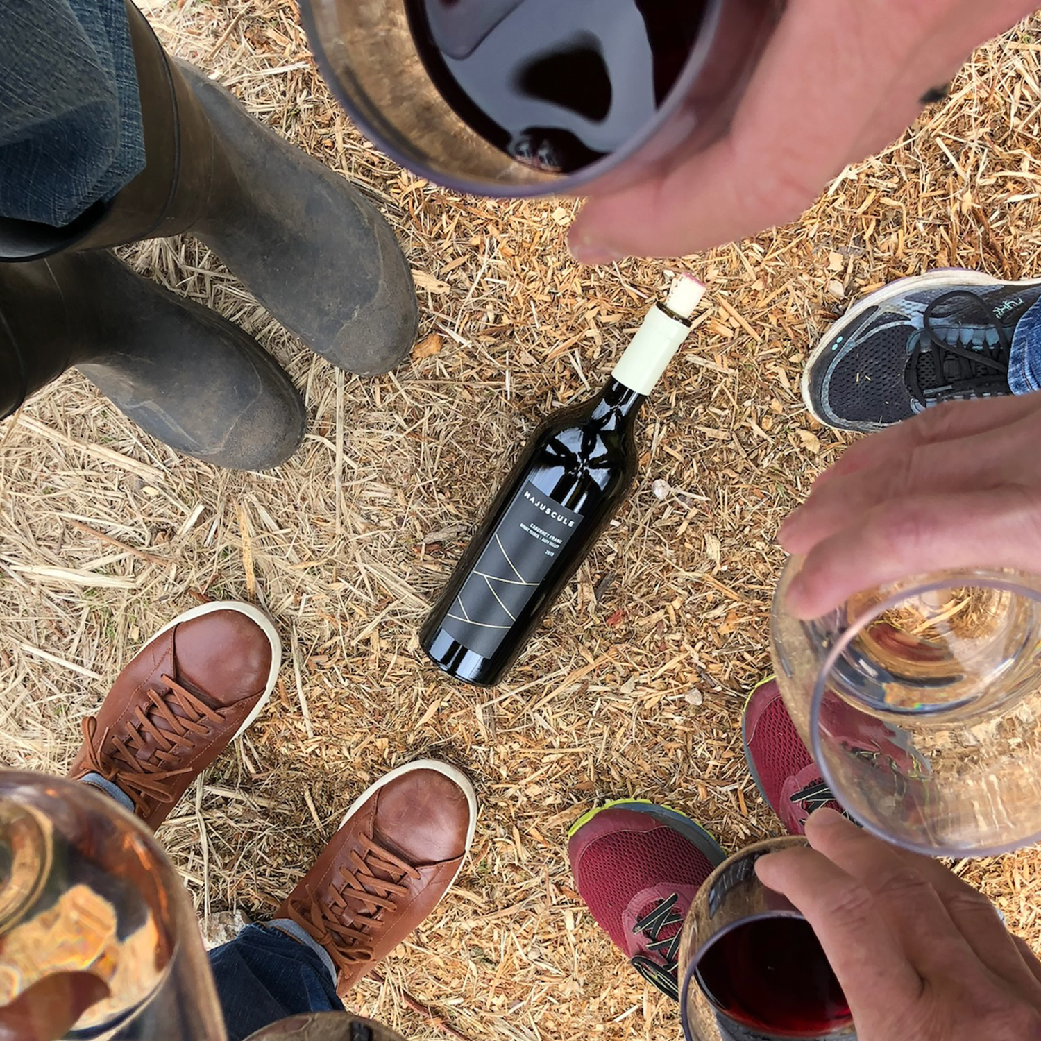 Aldis Wine Club A Hidden Gem For Wine Lovers - en3mki2
