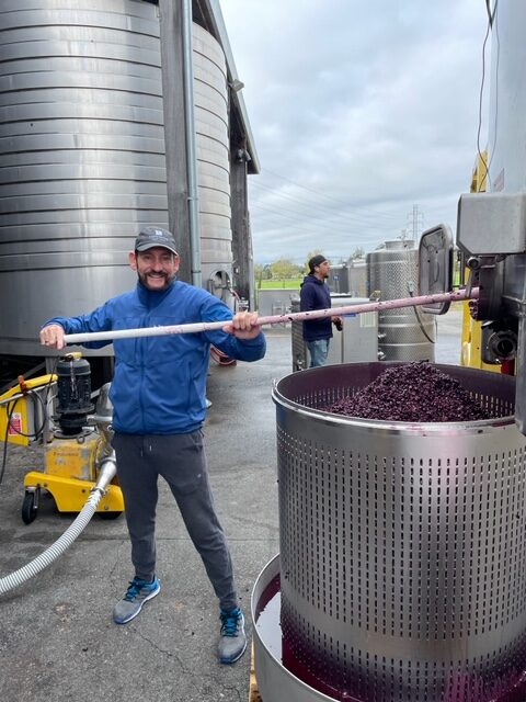 Mount Veeder Cabernet Sauvignon Persistence by Majuscule Wine